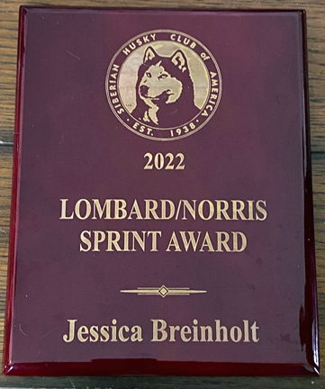 LN award 2022