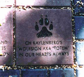 Totem's paver