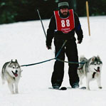 Rob skijoring with Elphie and Uinta