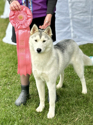 Molly Best Puppy in Group